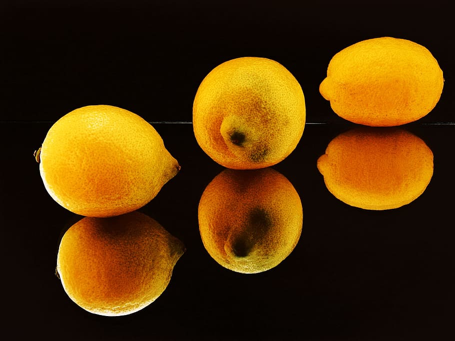 lemon, lemons, closeup, organic, circle, gourmet, refreshing HD wallpaper