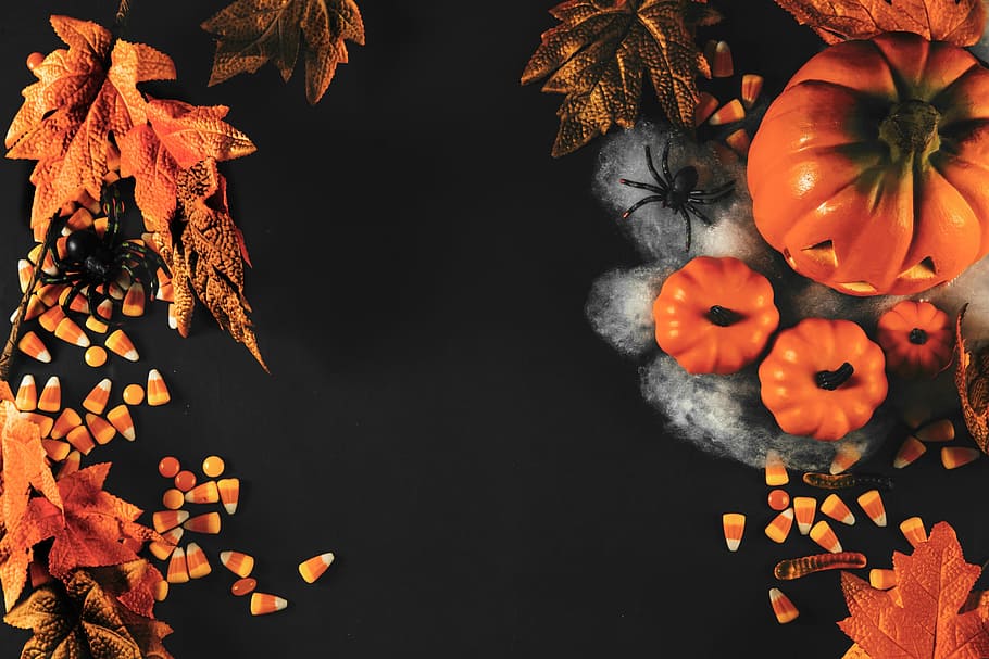 Halloween Flatlay Photo, Pumpkin, Candy, orange color, food and drink, HD wallpaper