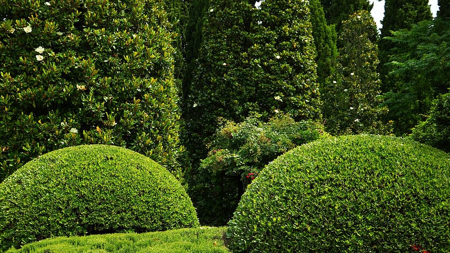 HD wallpaper: italy, sirmione, green color, plant, growth, tree, beauty ...