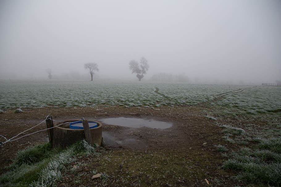 trees, field, countryside, water, frozen, openfield, france HD wallpaper