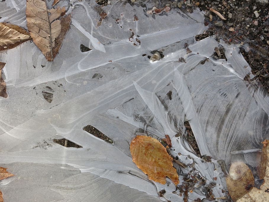 frost, ice, pattern, leaf, white, tan, no people, high angle view HD wallpaper