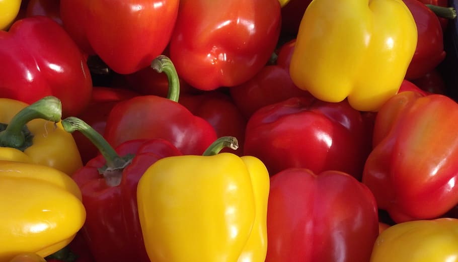 netherlands, amsterdam, peppers, vegetable, colors, bell pepper HD wallpaper