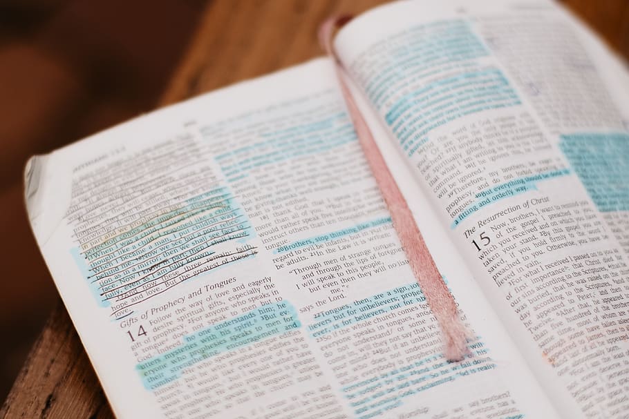 Bible scripture with book mark, publication, paper, indoors, close-up HD wallpaper