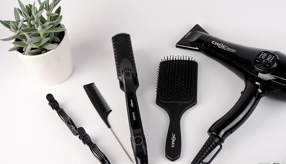 black hair brush, plant, flora, aloe, pot, salon, hairdryer, comb