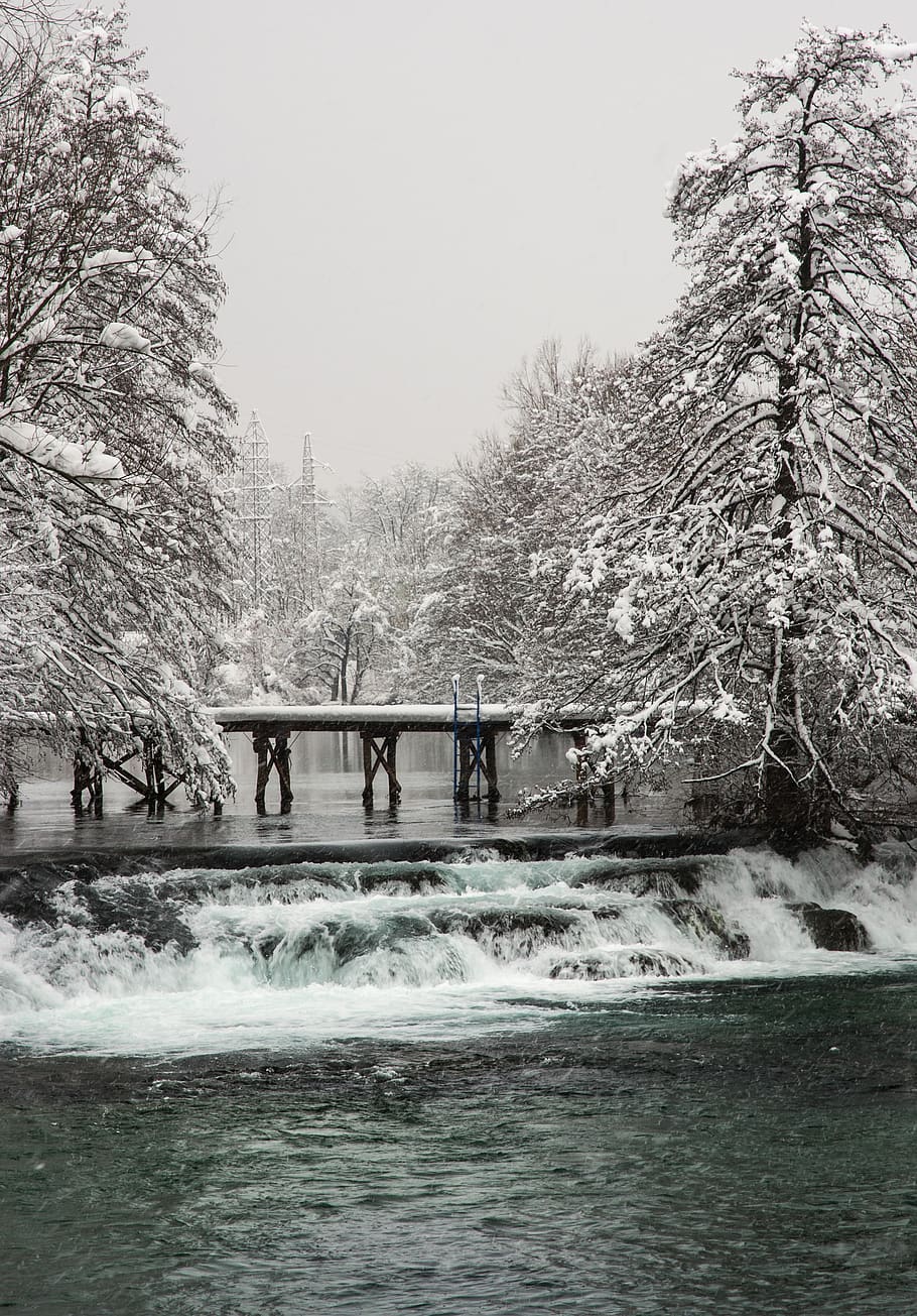 winter, snow, river, cold, nature, water, tree, plant, waterfront HD wallpaper