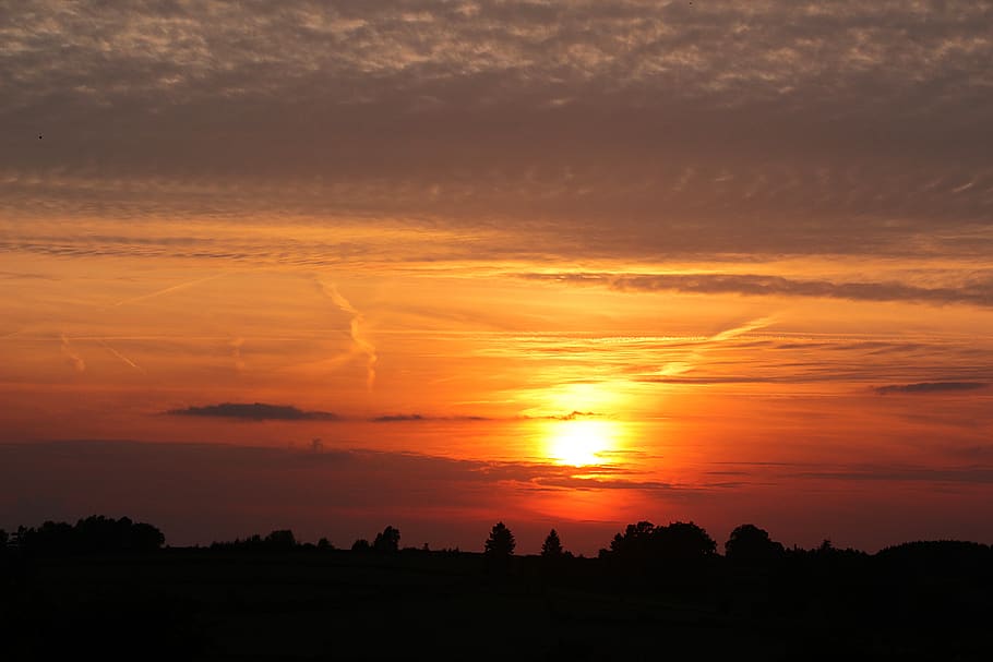 Orange Cloudy Sunset over Tree Silhouettes, clouds, dawn, nature HD wallpaper
