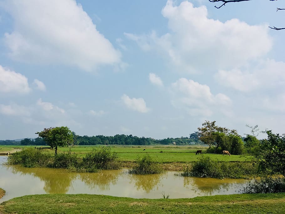 Landscape Photography of Body of Water Surrounded by Plants and Trees HD wallpaper