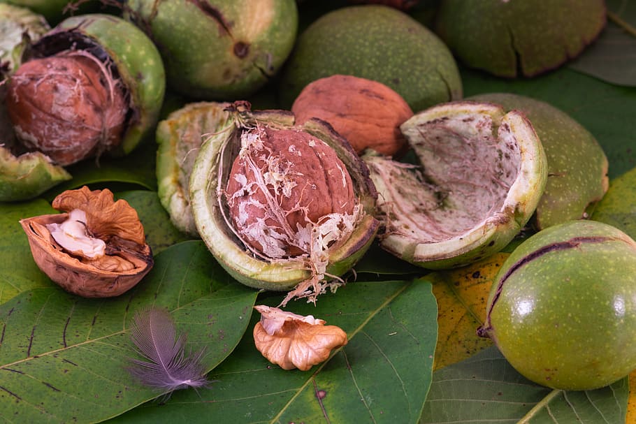 Public Domain. walnut, shell, leaves, delicious, healthy, nutrition, open, ...