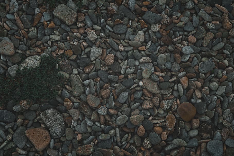 blue, yellow, grey, color, multi, green, flower, ground, rock HD wallpaper