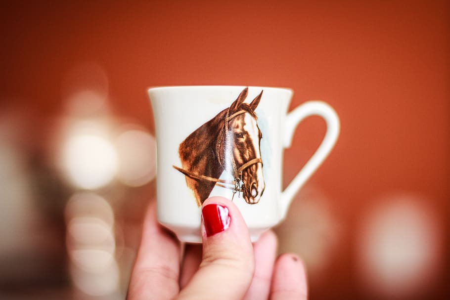 cup, horse, nail, coffee, human hand, human body part, holding HD wallpaper
