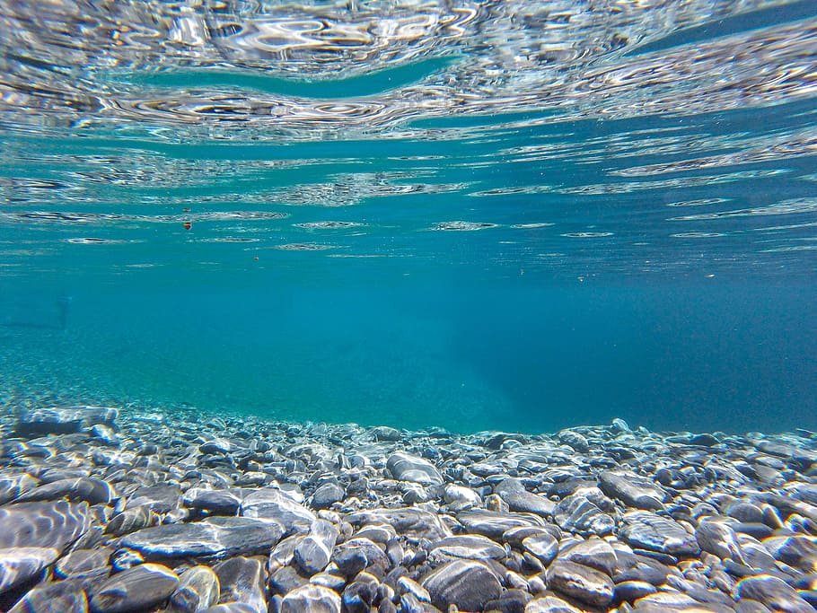 Underwater Photography of Clear Water, blue, clean, ocean, pure HD wallpaper