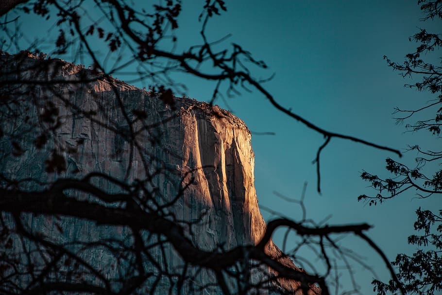 Mountain branch