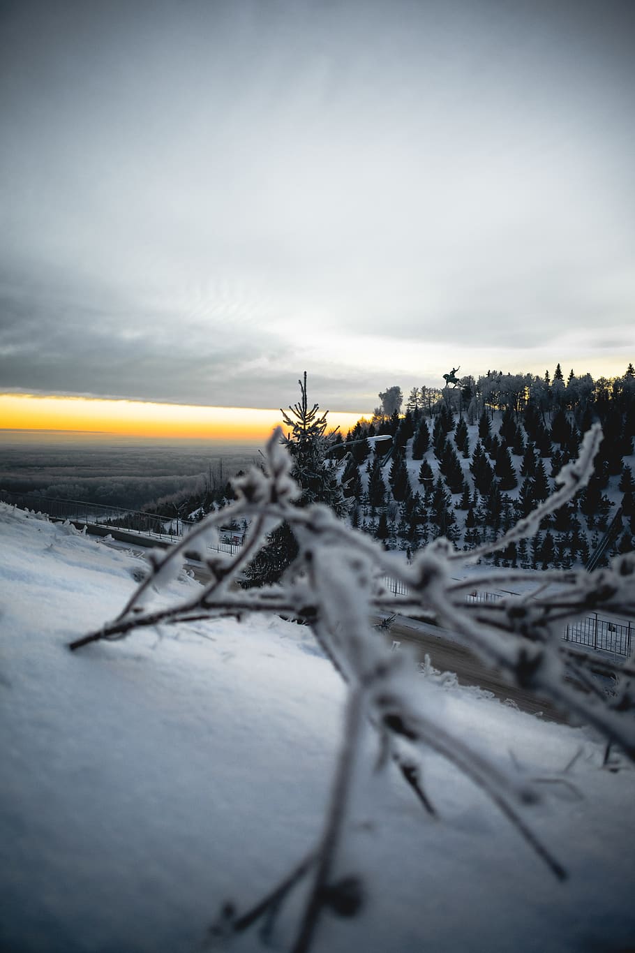 snow covered tree branch, wire, barbed wire, russia, park 