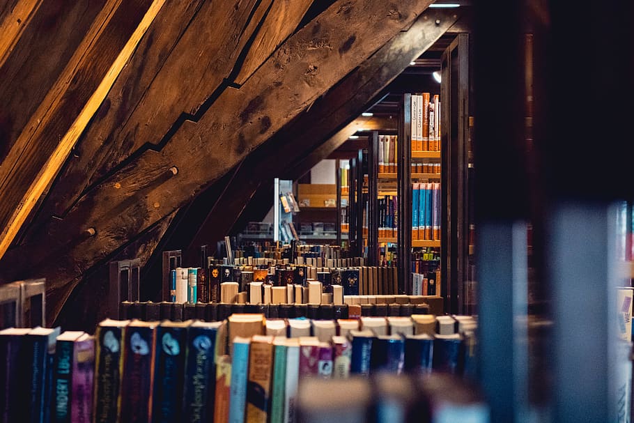 library, book, studying, reading, education, shelf, indoors HD wallpaper