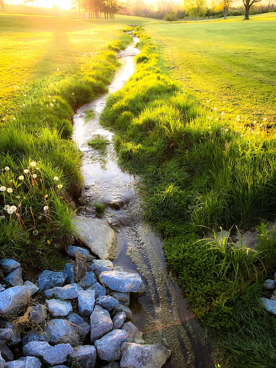rocks, green, grass, golf, golf course, sunset, twilight, moss HD wallpaper