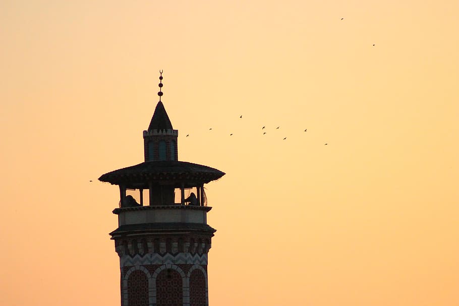 tunisia, hammam-lif, minaret, mosque, birds, sunset, architecture, HD wallpaper