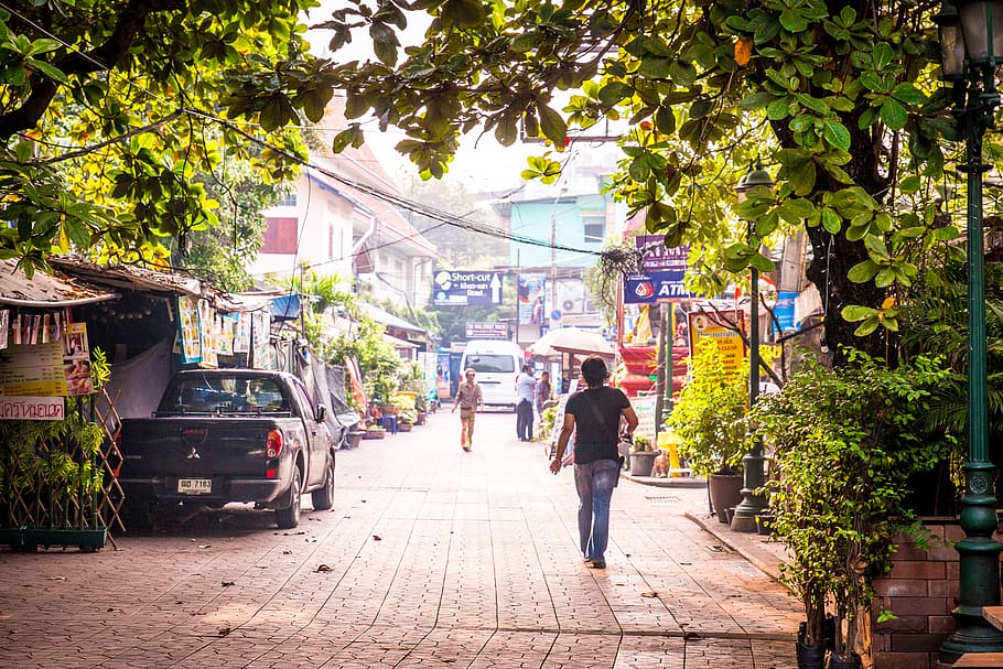 thailand, bangkok, tree, city, street, building exterior, real people HD wallpaper