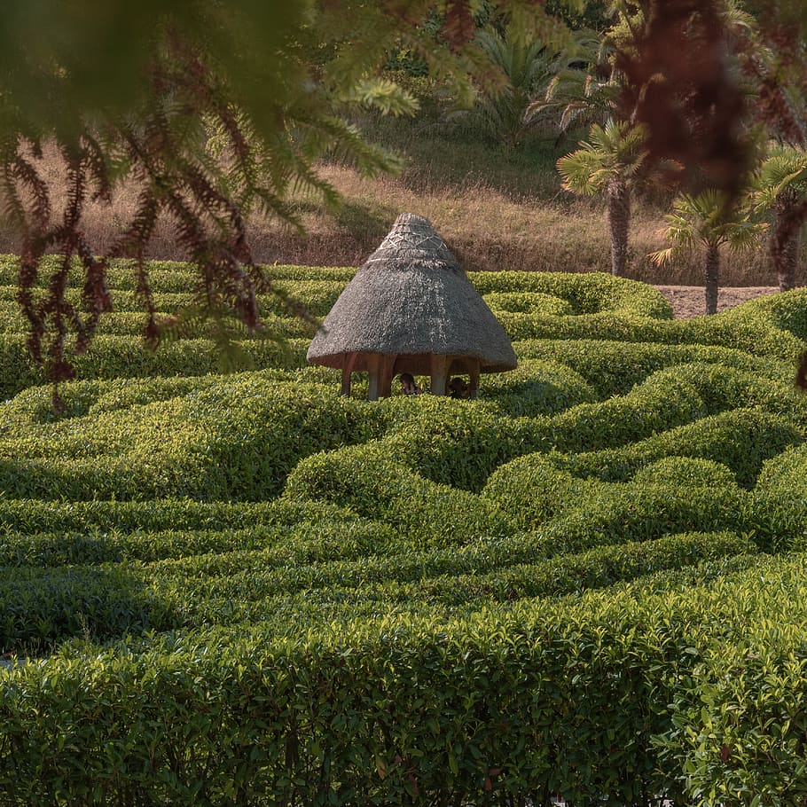 hut, straw, maze, bush, grass, nature, garden, natural, cornwall HD wallpaper