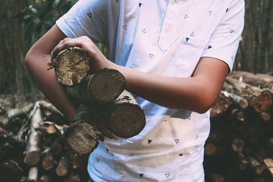 wood, logs, lumber, guy, man, people, forest, trees, nature HD wallpaper
