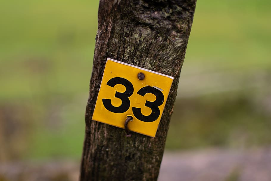 number, 33, post, canal side, painted, black, white, grass HD wallpaper