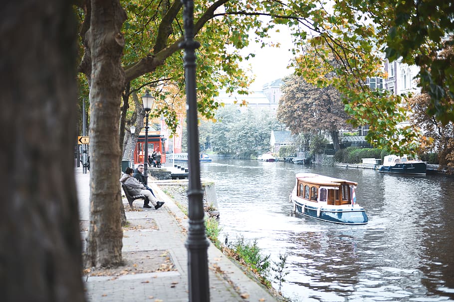 netherlands, amsterdam, tree, transportation, mode of transportation HD wallpaper