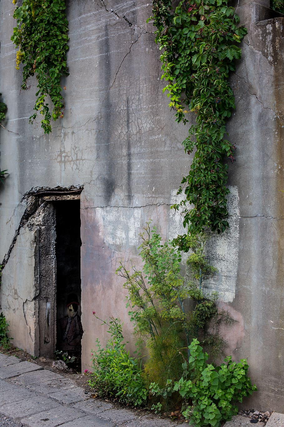 wall, door, nature, old, rustic, arizona, cement wall, grey wall HD wallpaper