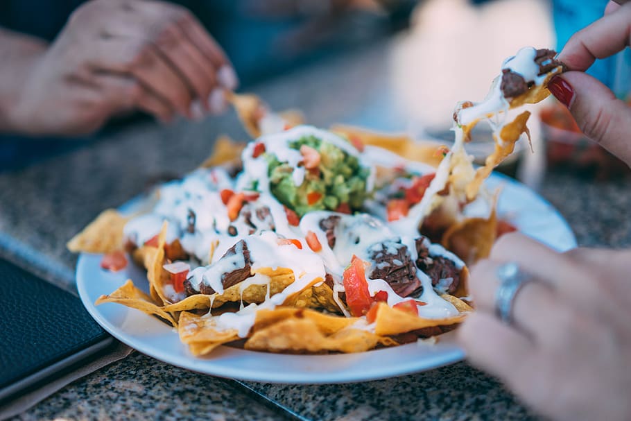 taco on plate, food and drink, human body part, human hand, holding HD wallpaper