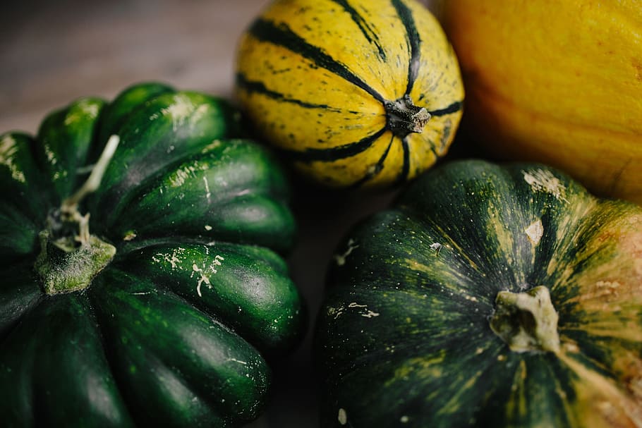 Variety of Pumpkins, healthy, autumn, fall, vegetable, halloween, HD wallpaper