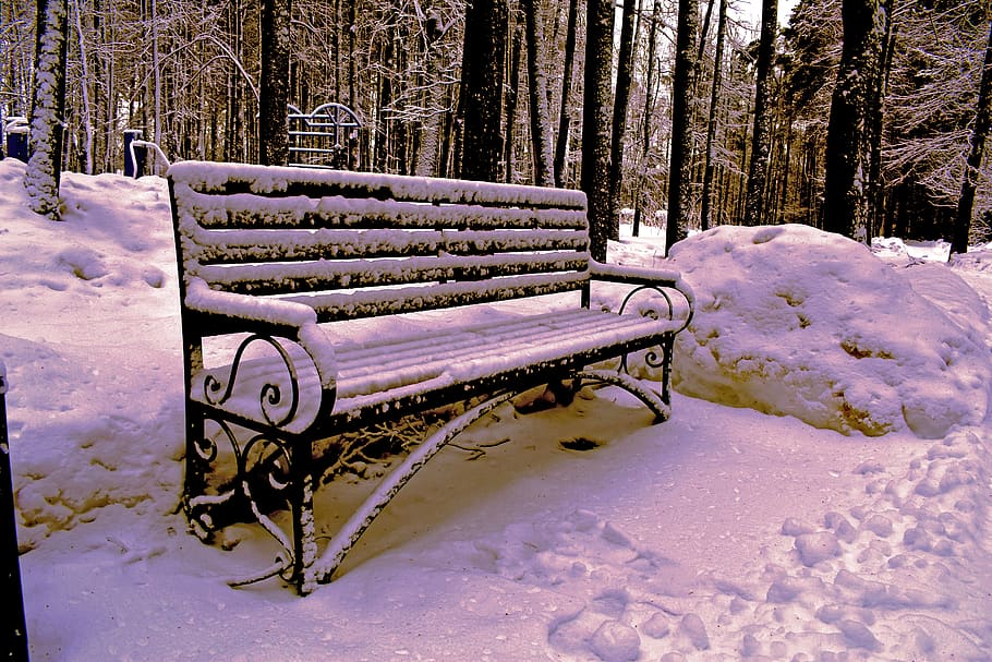bench, winter, snow, white, nature, shop, trees, cold temperature, HD wallpaper