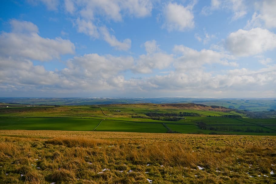 pasture, field, sky, clouds, england, countryside, landscape HD wallpaper