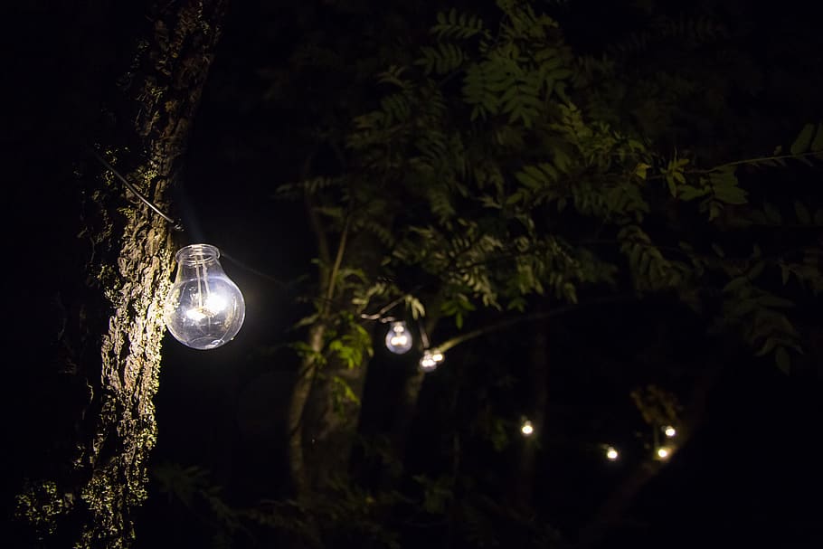 light, lamp, light bulb, energy, lighting, garden, led, idea HD wallpaper