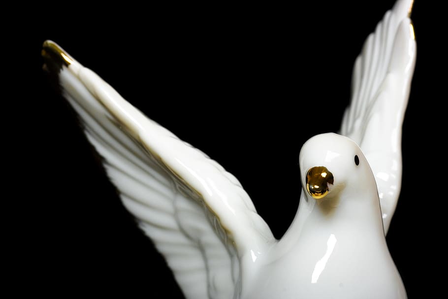 black, dove, fly, isolated, pigeon, toy, studio shot, white color HD wallpaper