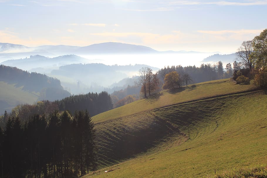 germany, black forest, beauty in nature, tranquil scene, scenics - nature HD wallpaper