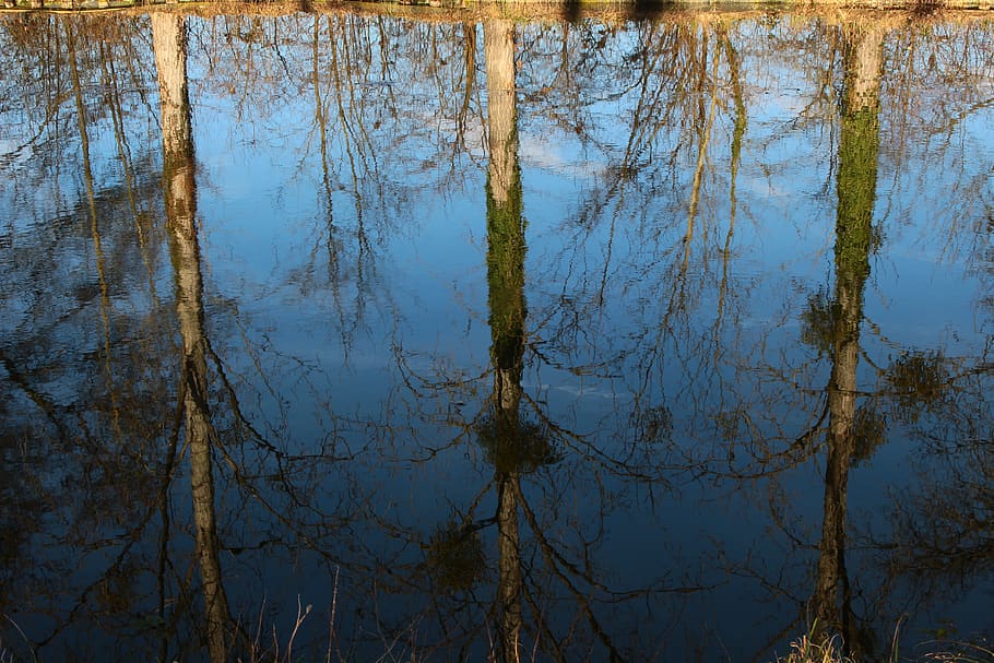 channel, reflection, nature, tourism, tree, france, landscape HD wallpaper