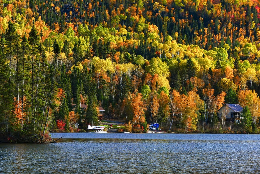 landscape, fall, nature, trees, forest, lake, water, leaves HD wallpaper