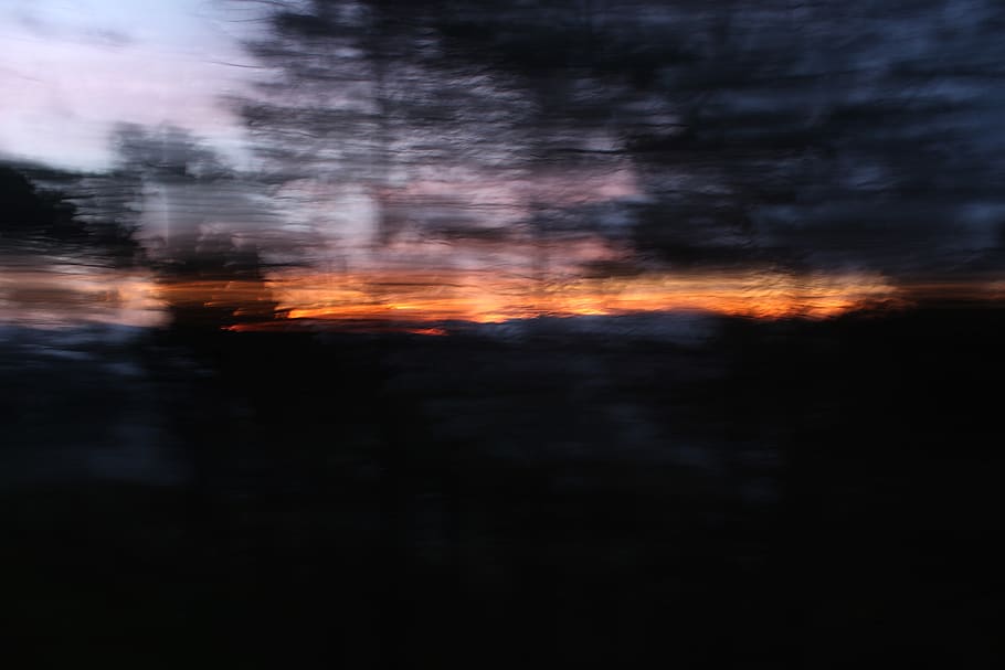 trees, sunrise, dawn, light, wilderness, motion, lightning HD wallpaper