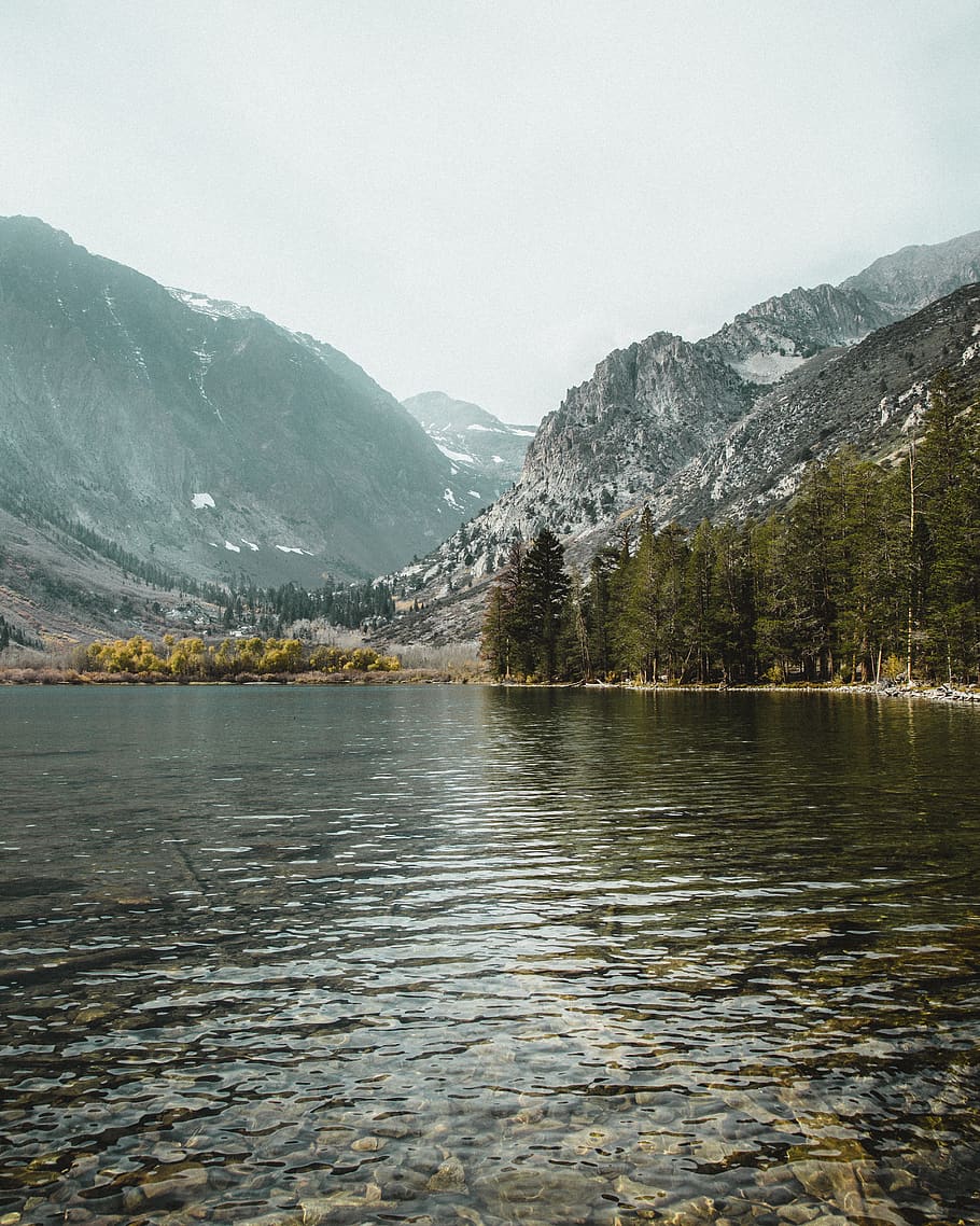forest, lake, trees, hike, water, explore, mountains, mammoth HD wallpaper