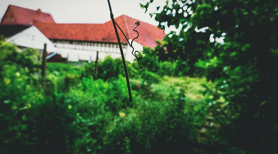 germany, lich, eberstadt, leaf, cobweb, branch, focus, macro HD wallpaper