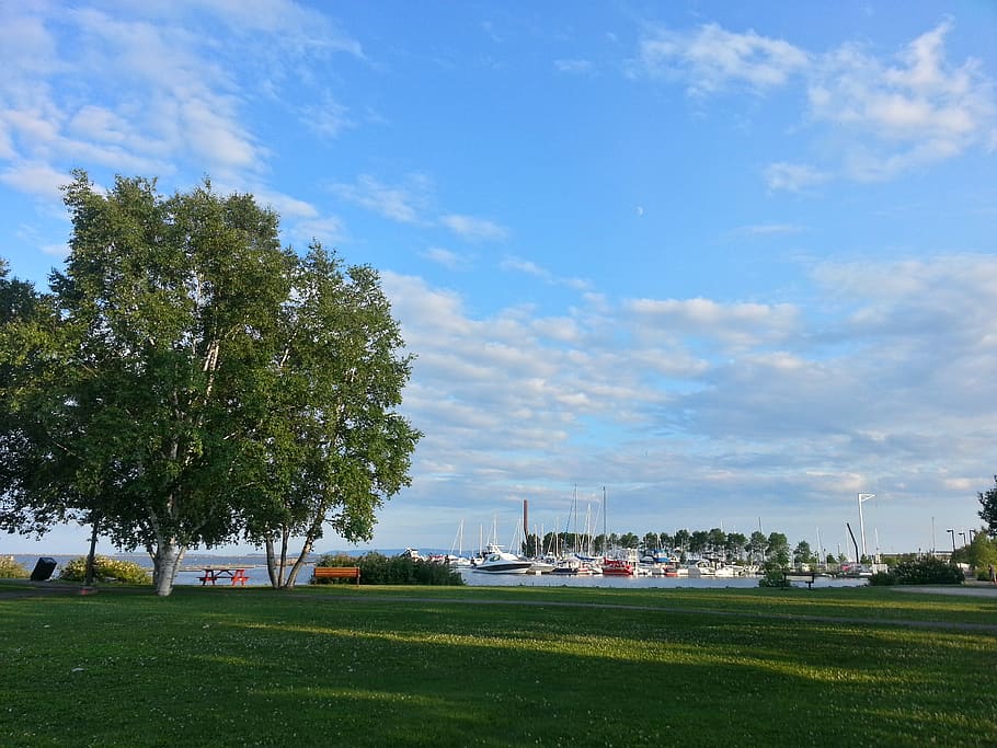 canada, thunder bay, boats, trees, cloudy, picnic table, harbour HD wallpaper