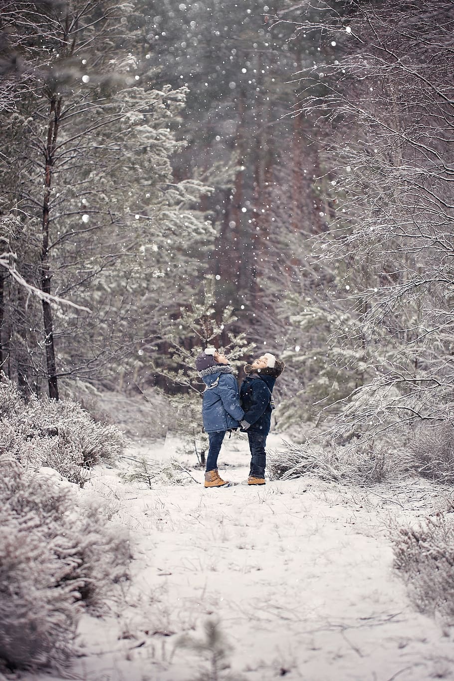winter, forest, tree, frost, brethren, children, holding hands HD wallpaper