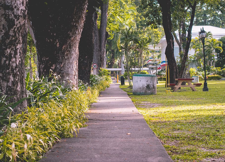 gray concrete pathway, exploration, adventure, travel, countryside HD wallpaper