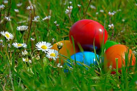 easter, easter eggs, colorful, colored, spring, food, chicken eggs HD wallpaper