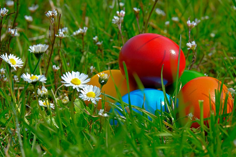 easter, easter eggs, colorful, colored, spring, food, chicken eggs HD wallpaper