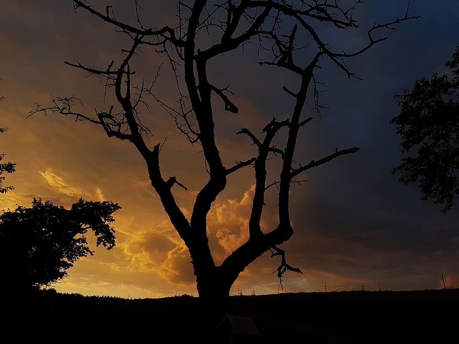 germany, struppen, thürmsdorf, clouds, sky, sun, shadow, night HD wallpaper