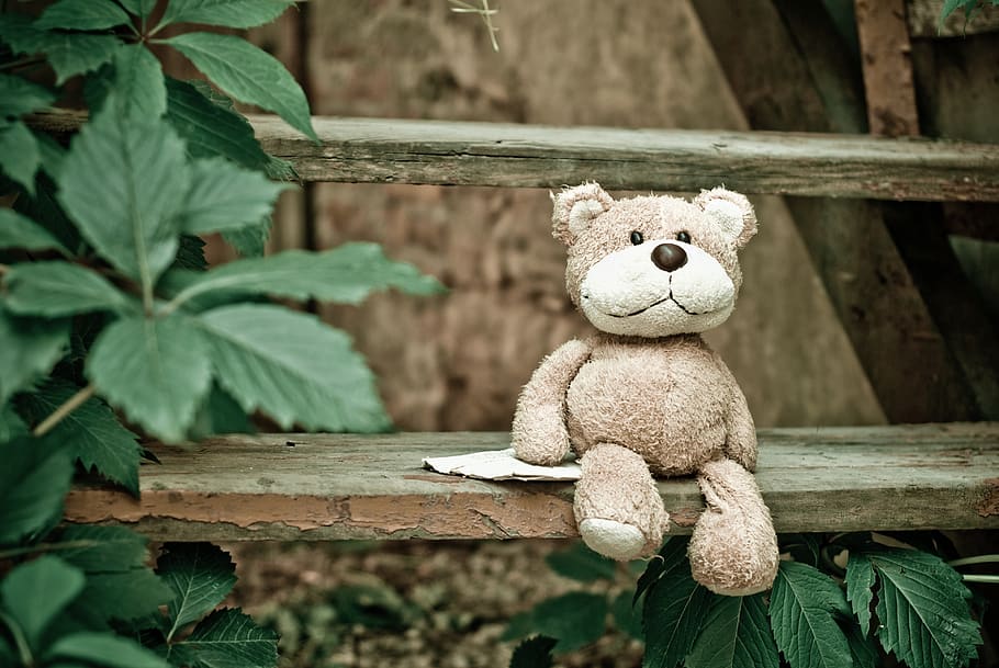 brown bear plush toy, stuffed toy, teddy bear, representation HD wallpaper