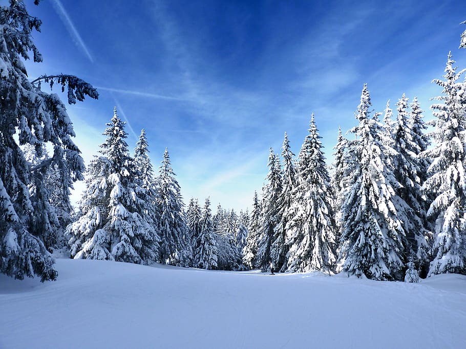 vosges, snow, mountain, winter, blue, sky, landscape, cold HD wallpaper