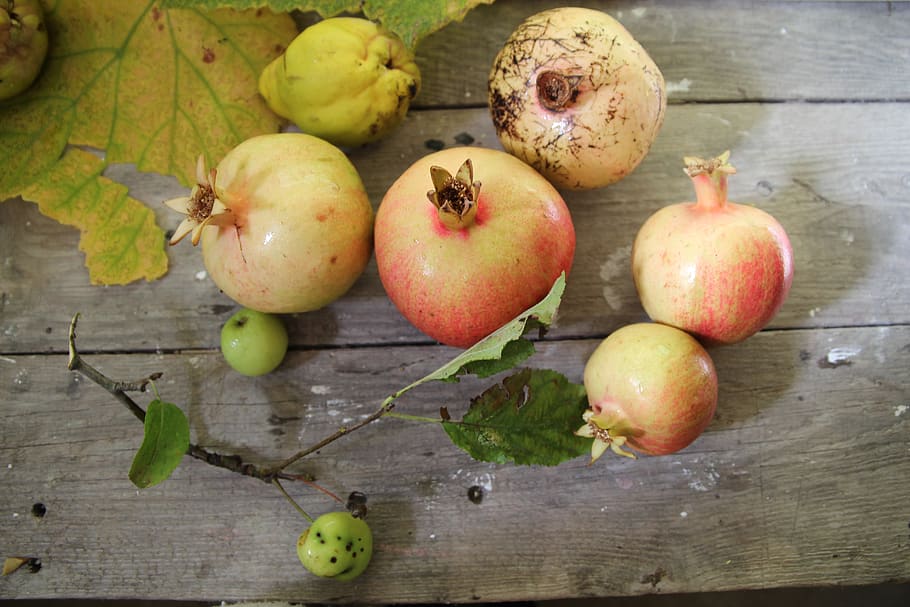 fruits, autumn fruits, pomegranate, quince, apples, harvest, HD wallpaper