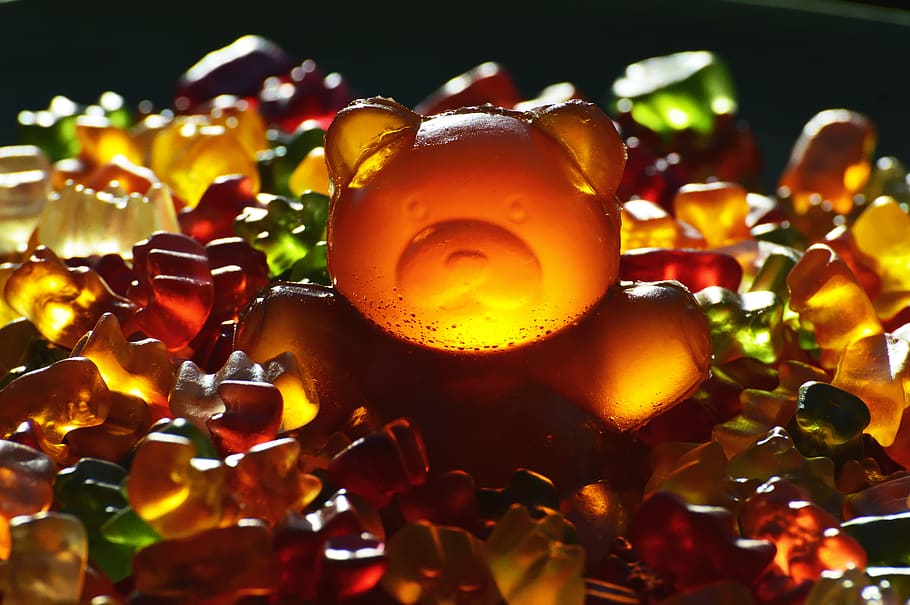 HD Wallpaper: Gummibärchen, Giant Rubber Bear, Fruit Gums, Delicious ...