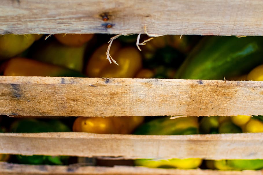 wood, vegetable, yellow, wood - material, close-up, no people HD wallpaper