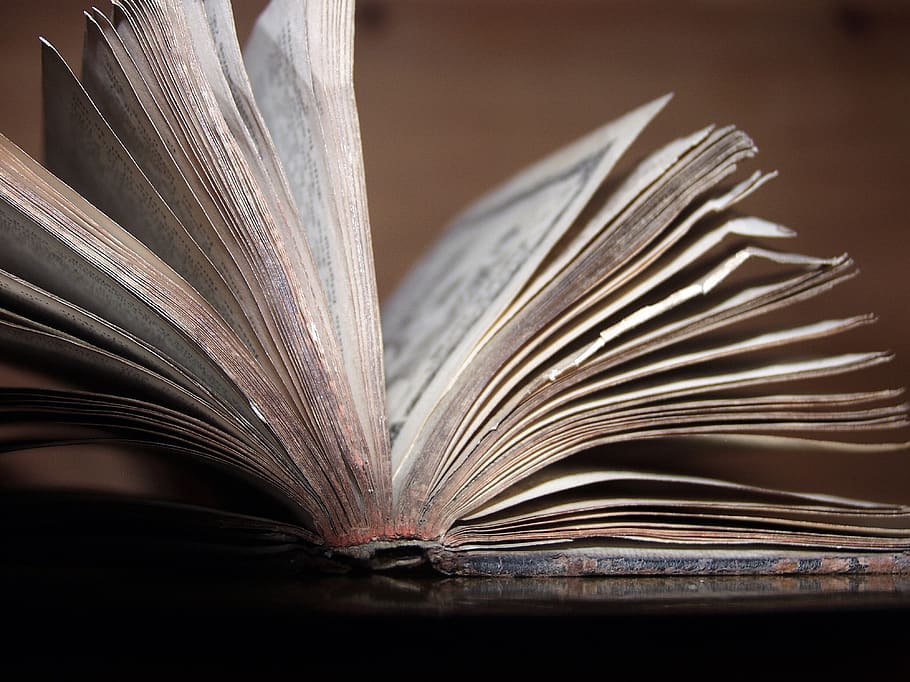 germany, bible, book, old, paper, publication, education, open HD wallpaper